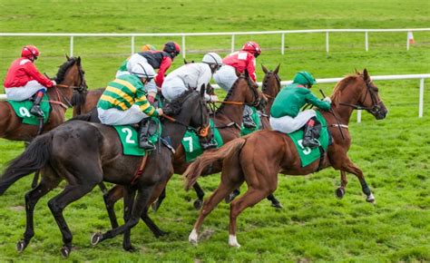 Today's Quadpot Races .